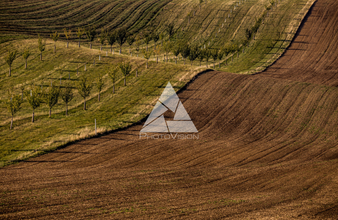 "Wavy autumn fields in Moravian Tuscany, Czech Republic" stock image