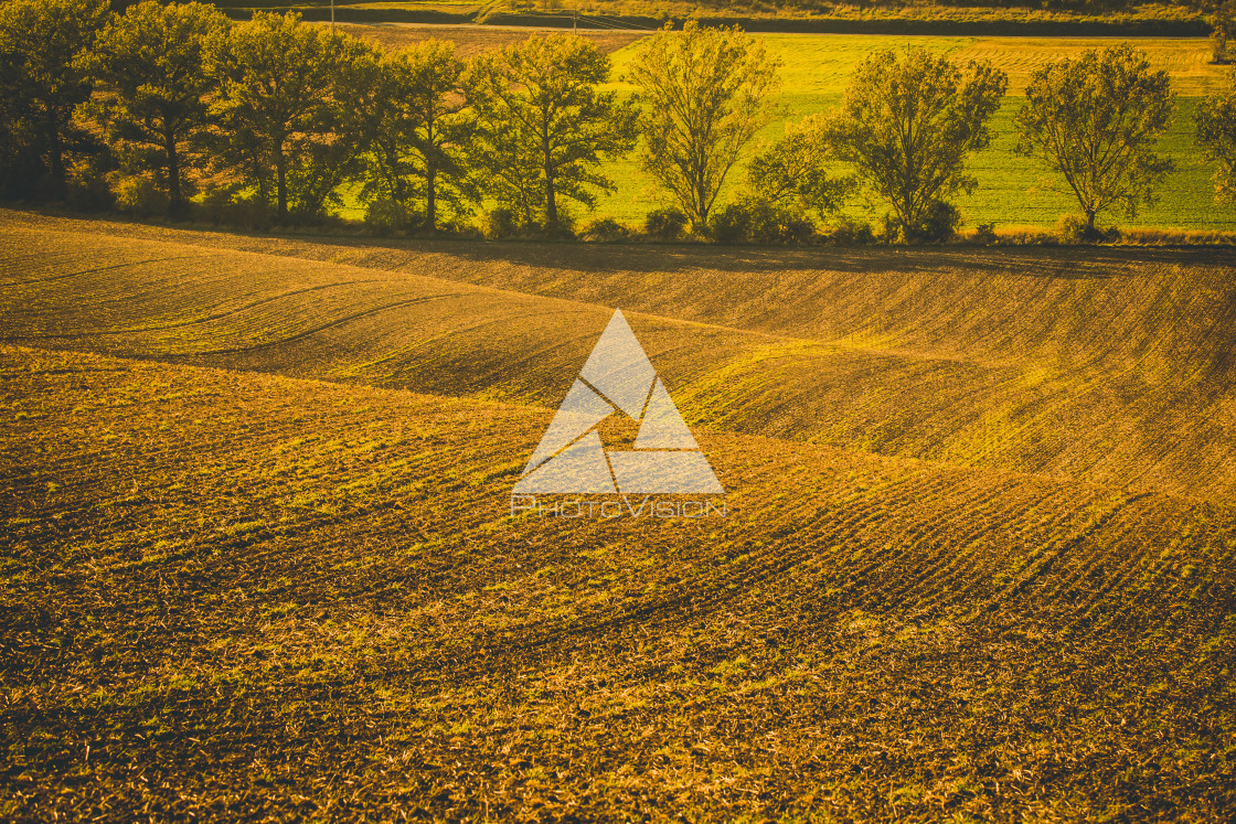 "Wavy autumn fields in Moravian Tuscany, Czech Republic" stock image