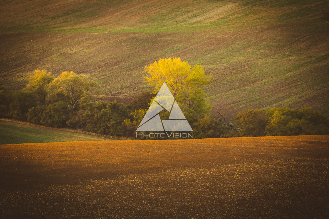 "Autumn picturesque rolling countryside of South Moravian fields and..." stock image