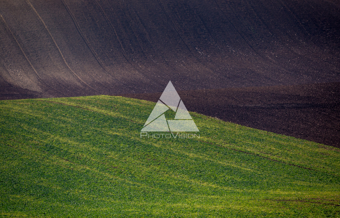 "Wavy autumn fields in Moravian Tuscany, Czech Republic" stock image