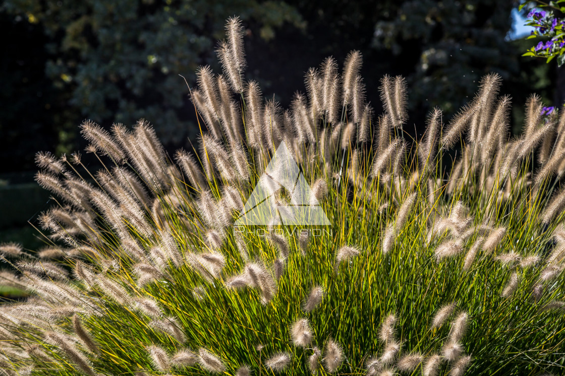 "Garden park Lednice Castle, Czech Republic" stock image