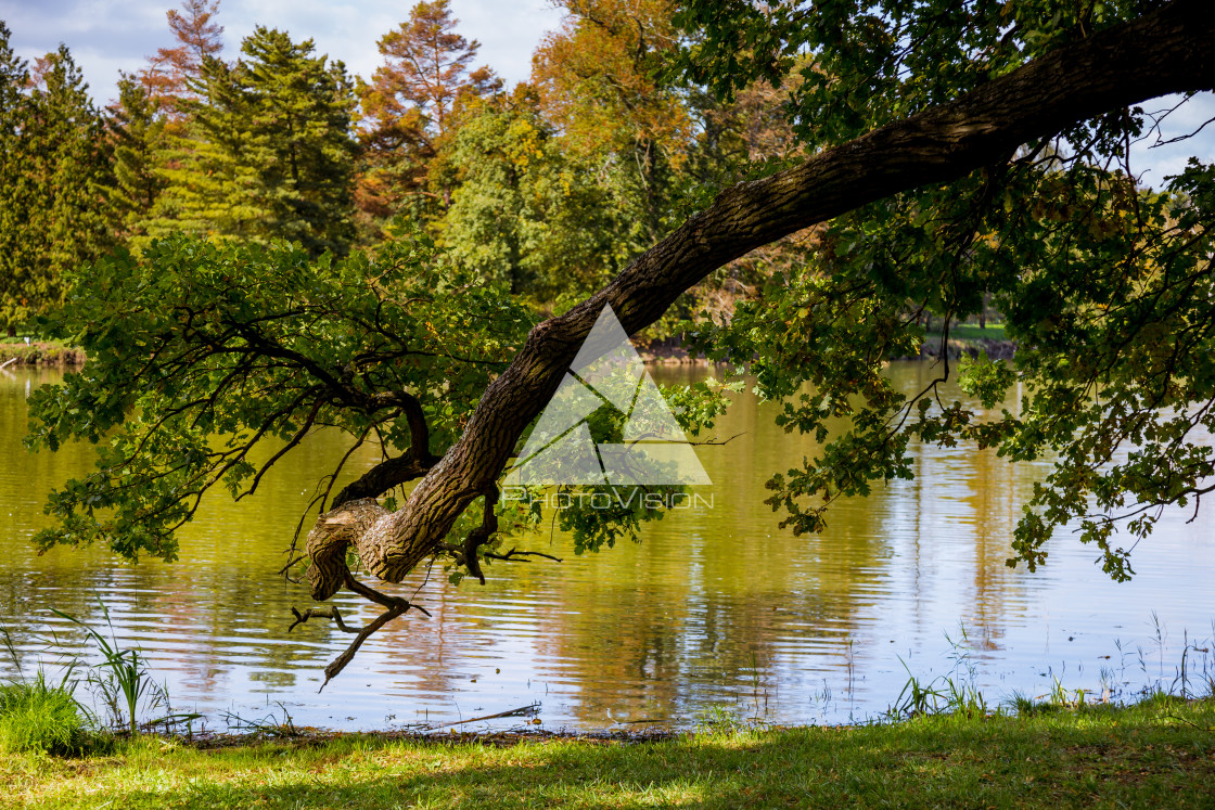 "Lake and trees in Lednice castle park" stock image