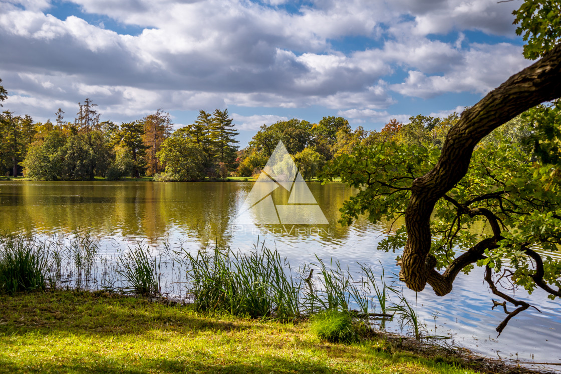 "Lake and trees in Lednice castle park" stock image