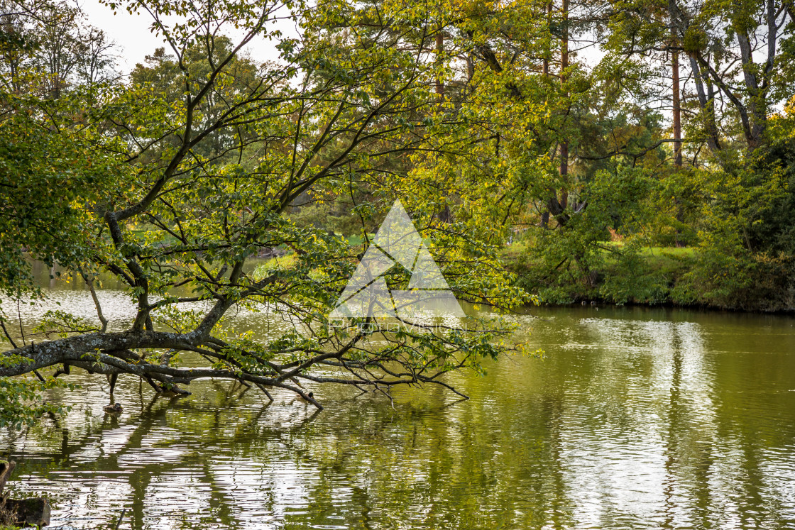 "Lake and trees in Lednice castle park" stock image