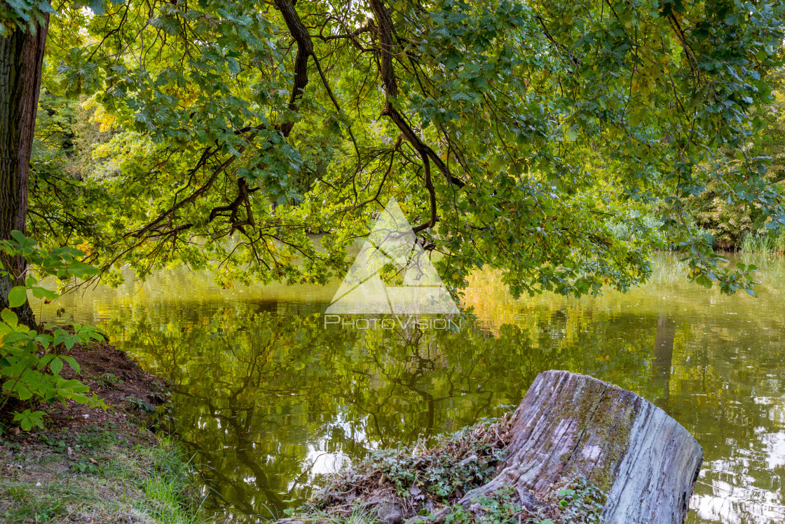 "Lake and trees in Lednice castle park" stock image