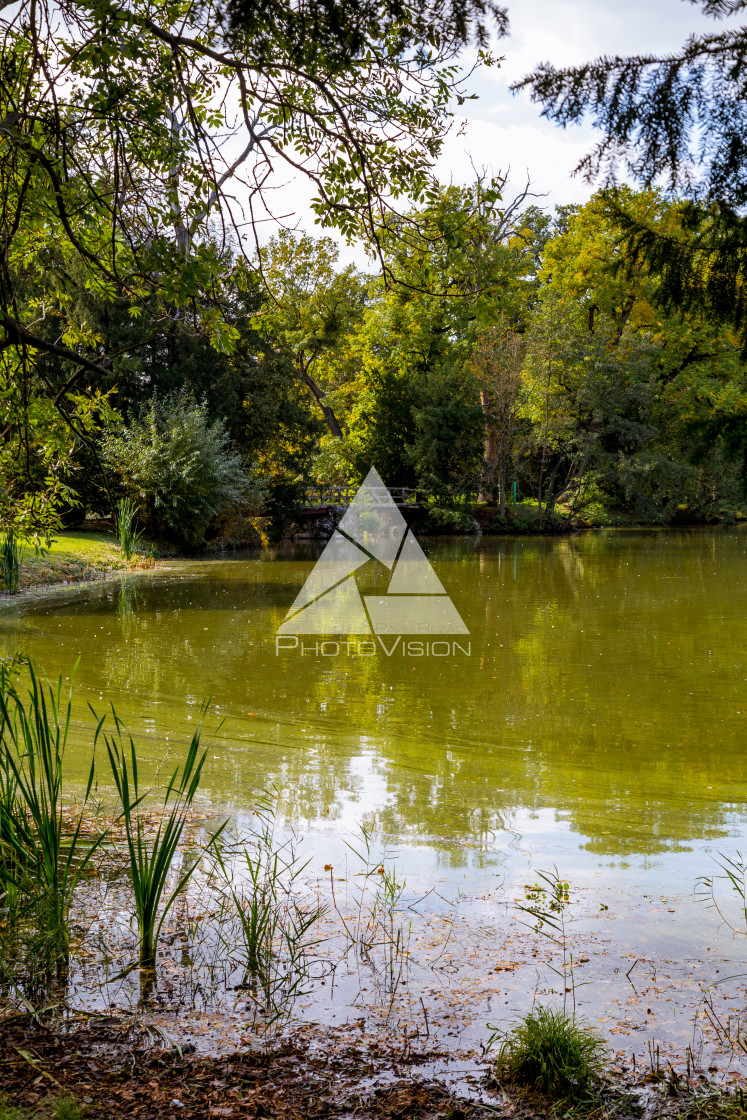 "Lake and trees in Lednice castle park" stock image