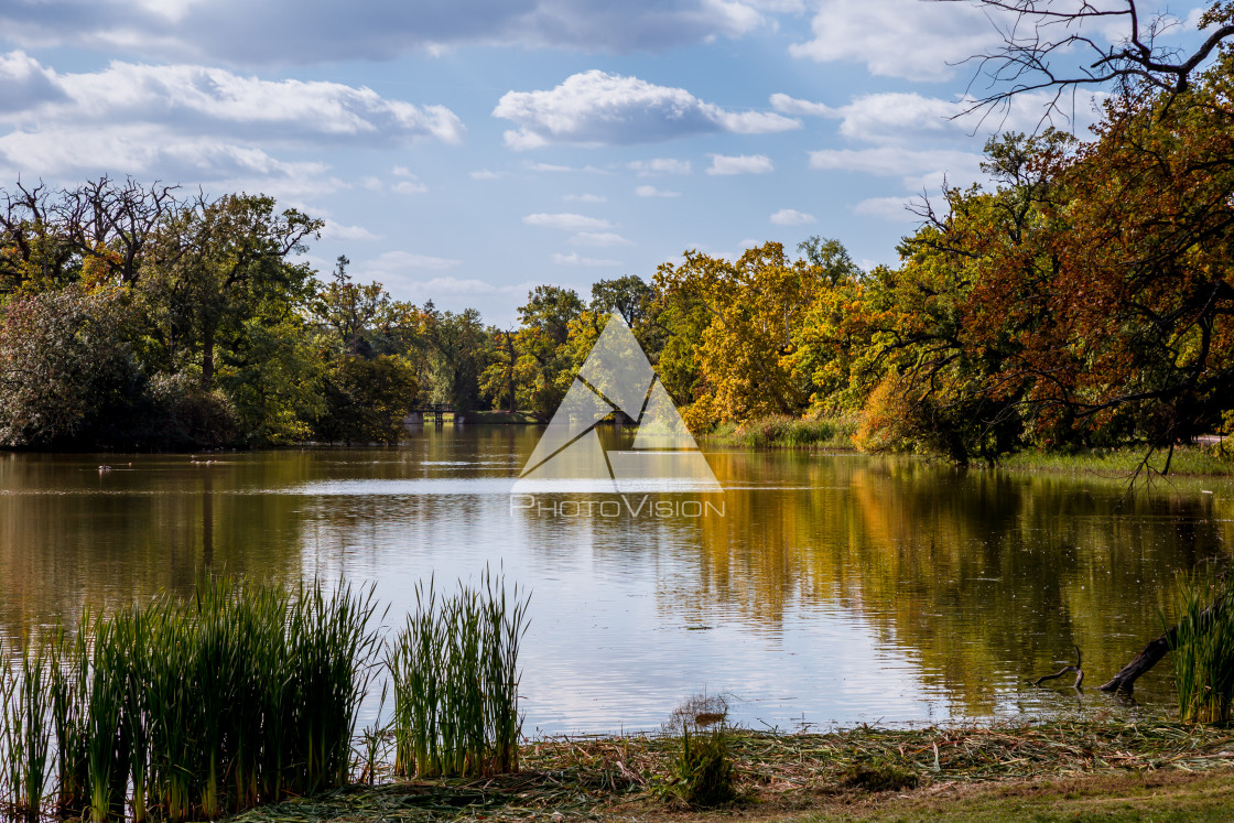 "Lake and trees in Lednice castle park" stock image