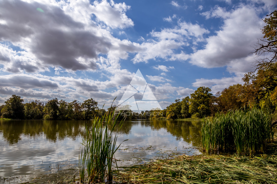 "Lake and trees in Lednice castle park" stock image