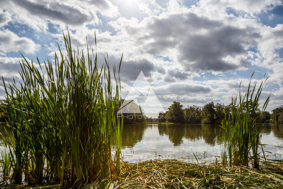 "Lake and trees in Lednice castle park" stock image