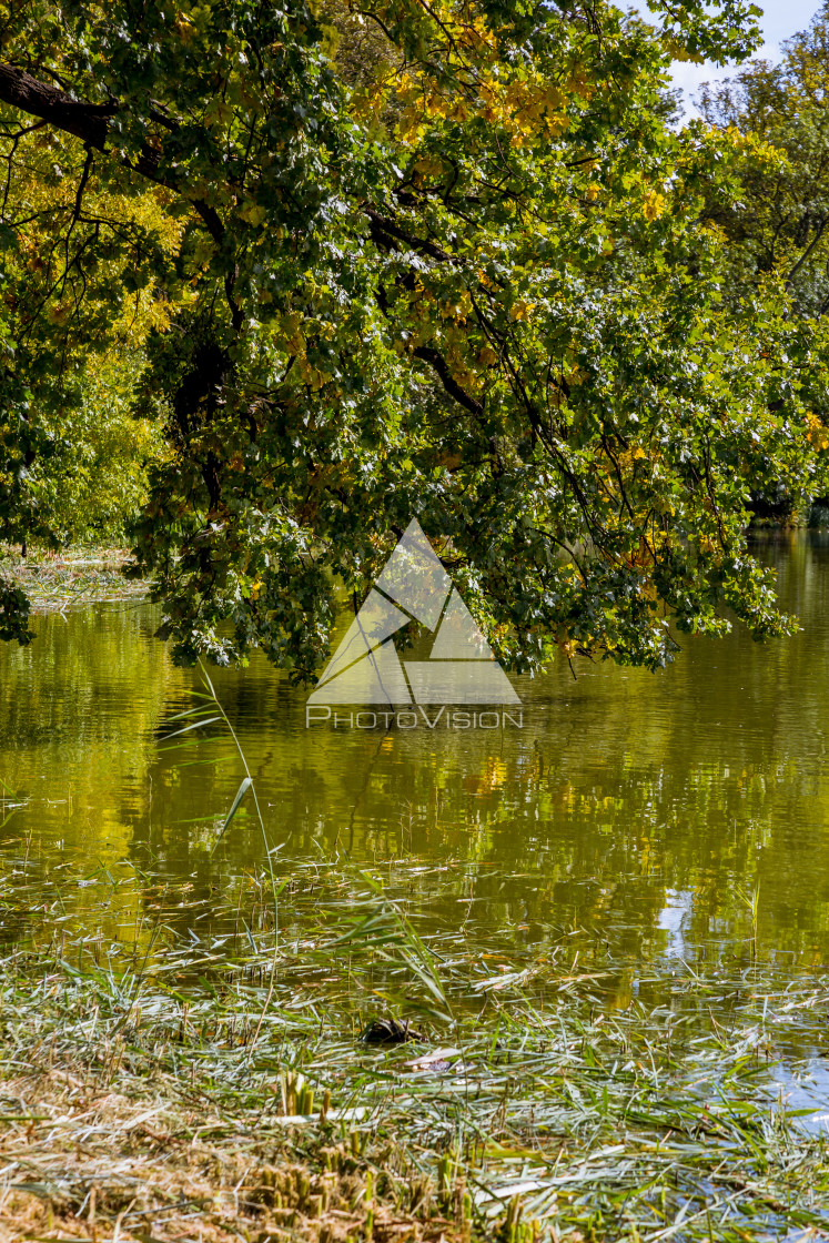 "Lake and trees in Lednice castle park" stock image