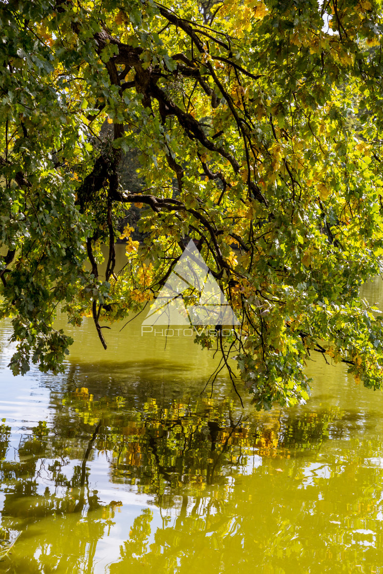 "Lake and trees in Lednice castle park" stock image