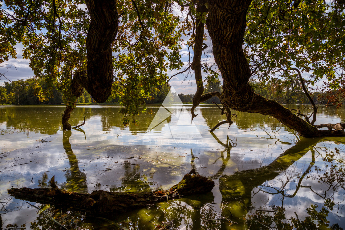 "Lake and trees in Lednice castle park" stock image