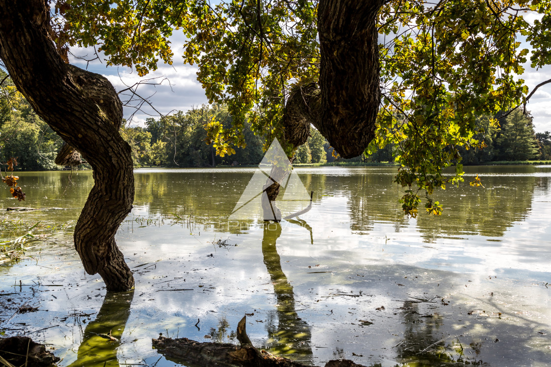 "Lake and trees in Lednice castle park" stock image