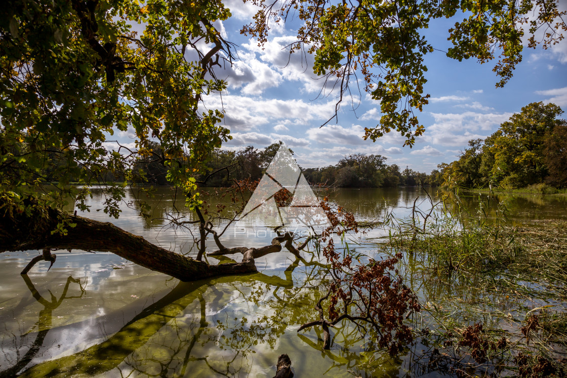 "Lake and trees in Lednice castle park" stock image