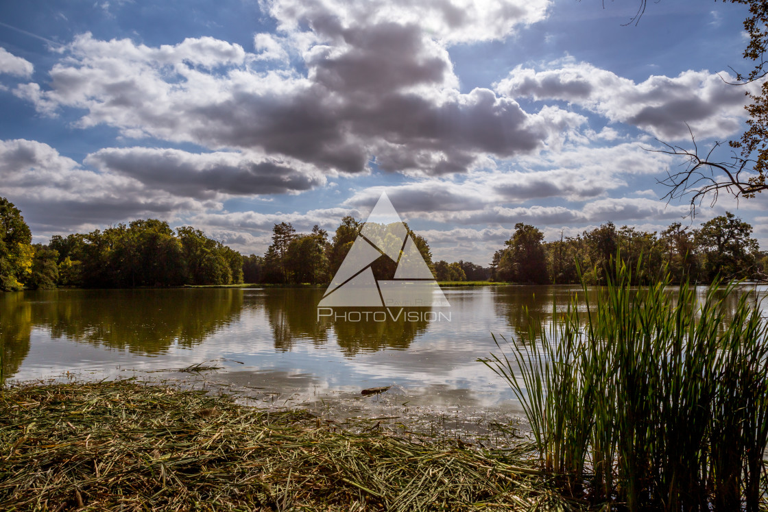 "Lake and trees in Lednice castle park" stock image