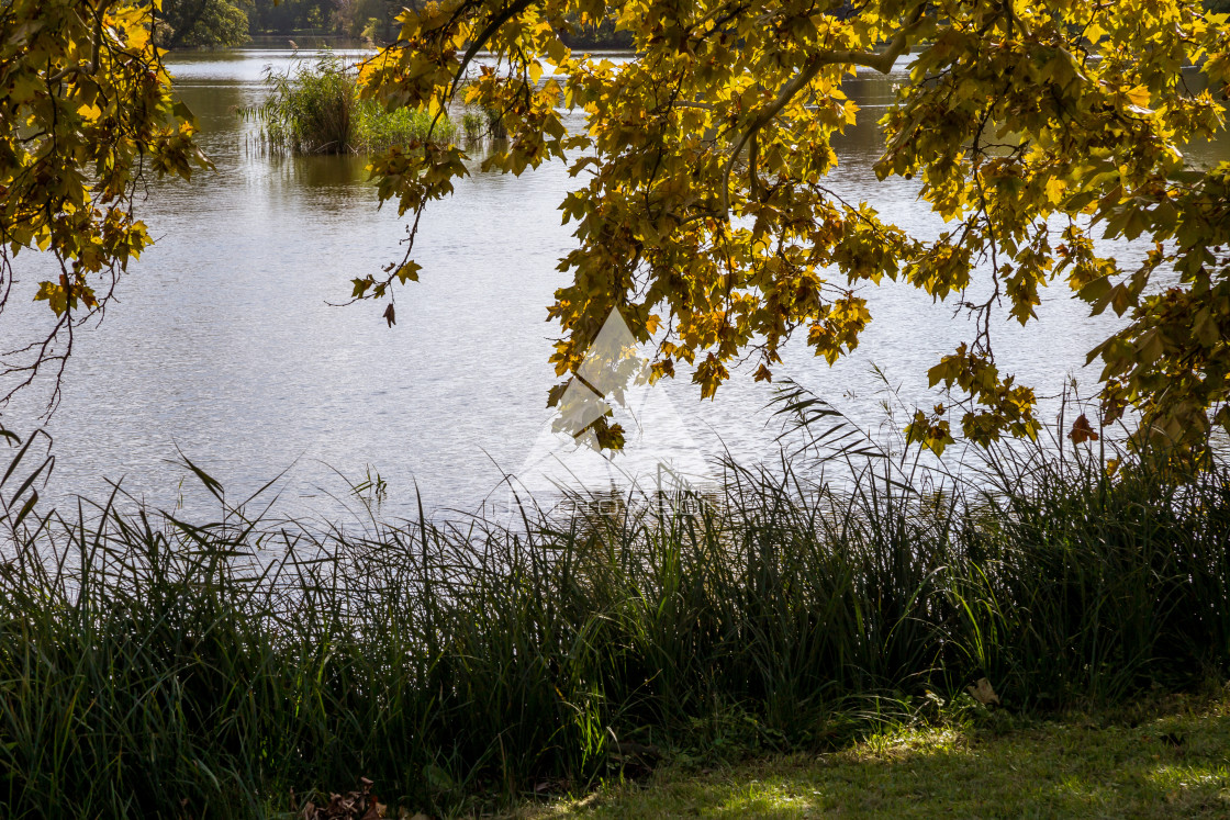 "Romantic English park, castle Lednice" stock image