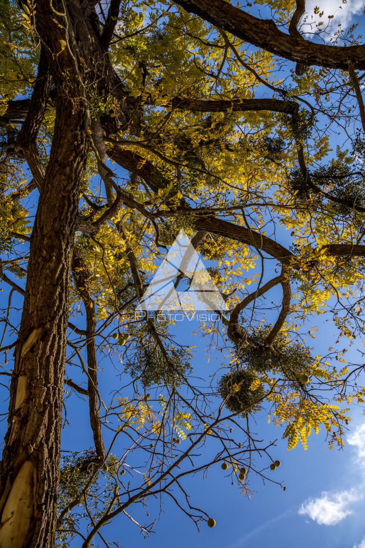 "Romantic English park, castle Lednice" stock image