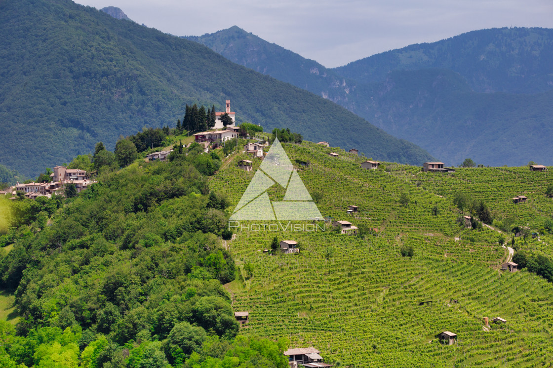 "Combai village on a hill among vineyards" stock image