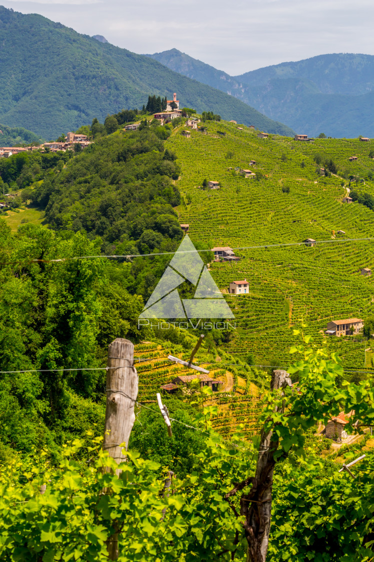 "Panorama of Prosecco wine region, Combai village" stock image