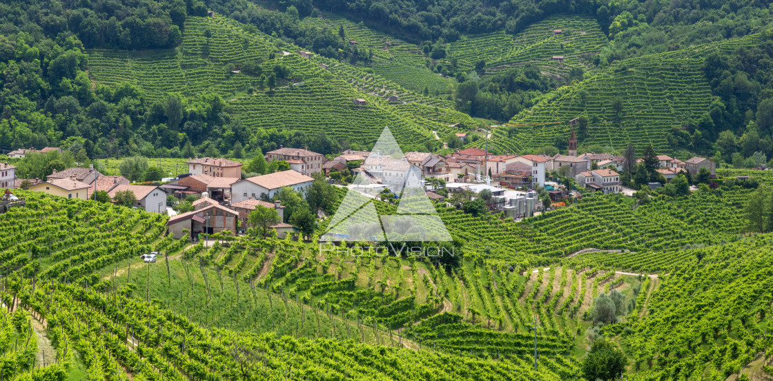 "Panorama of village of Santo Stefano surrounded by hills and vin" stock image