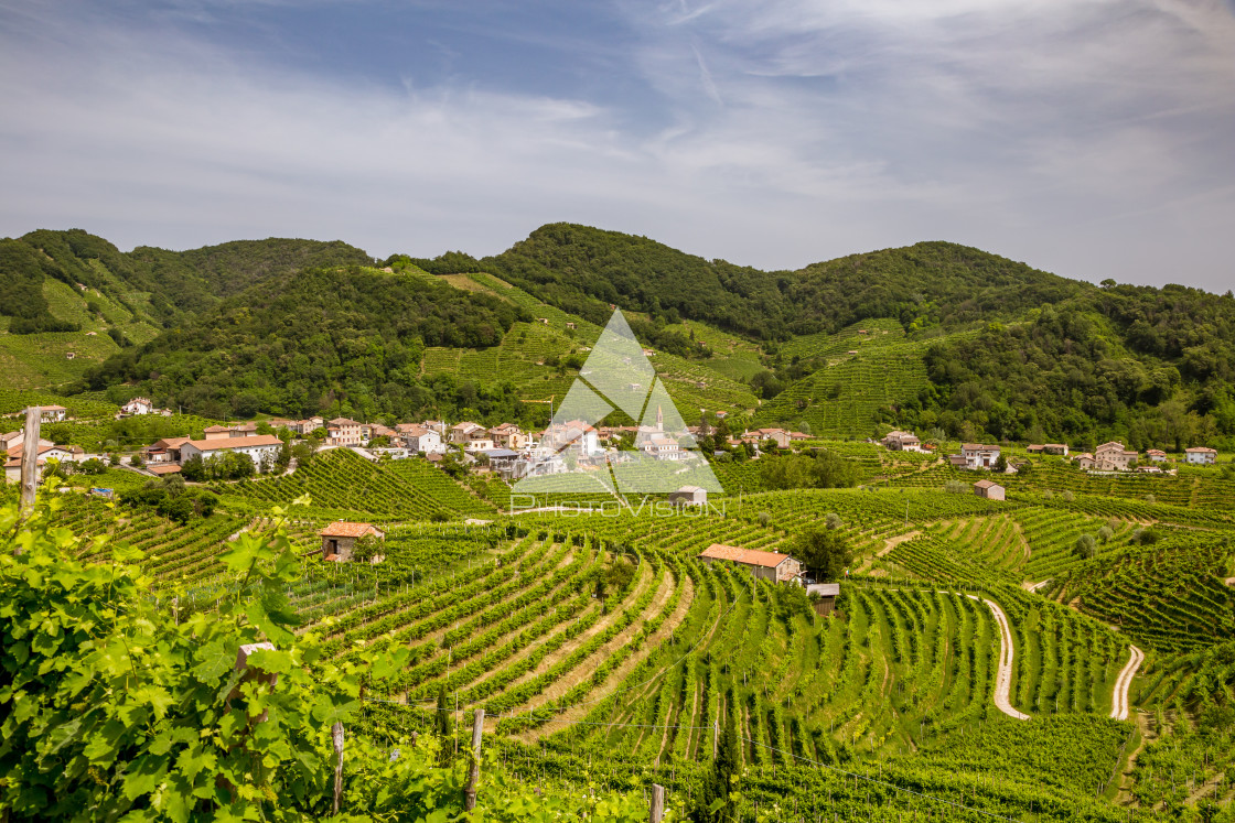 "Panorama of vineyard county around Valdobbiadene" stock image