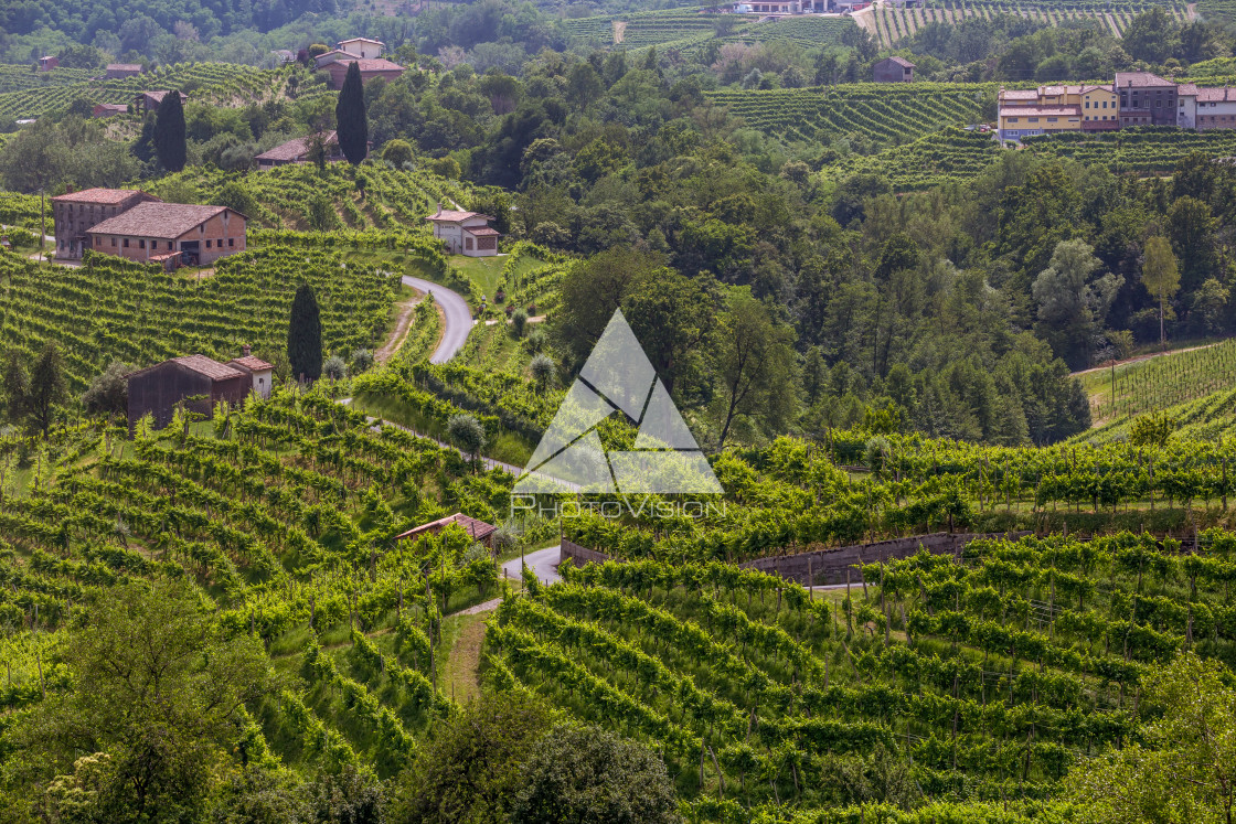 "A county of vineyards around Valdobbiadene" stock image