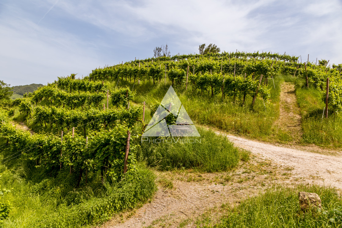 "Road to the hill" stock image