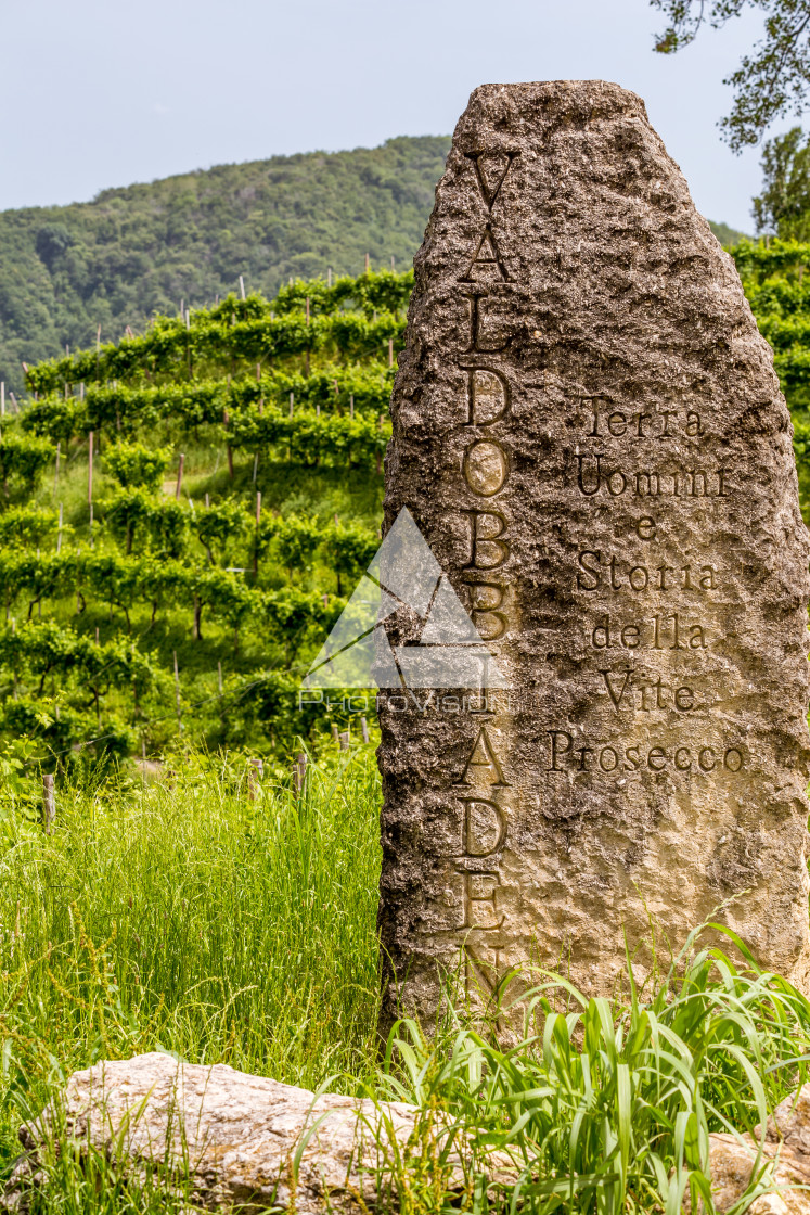 "Stone on the edge of a vineyard" stock image