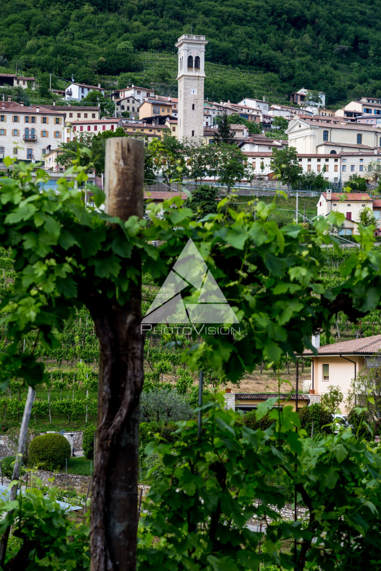 "Prosecco region, view of hills with vineyards, sunny day" stock image