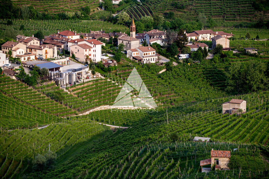 "Prosecco region, view of hills with vineyards, sunny day" stock image