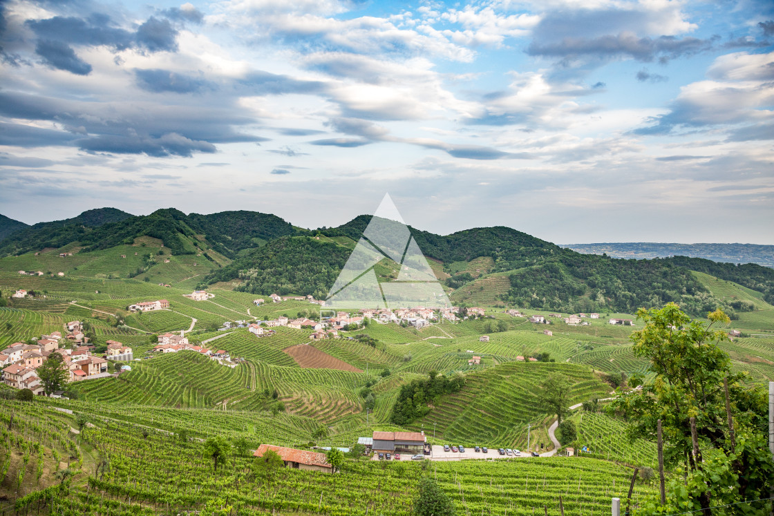 "Prosecco region, view of hills with vineyards, sunny day" stock image