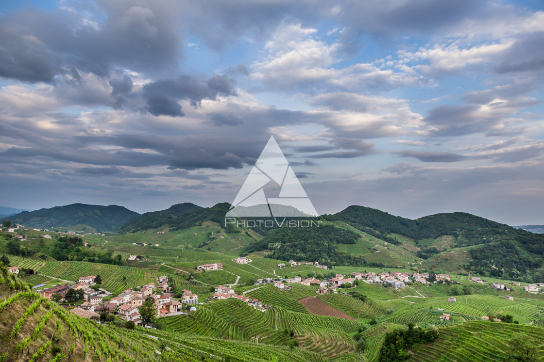 "Prosecco region, view of hills with vineyards, sunny day" stock image