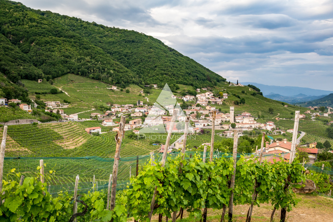 "Prosecco region, view of hills with vineyards, sunny day" stock image