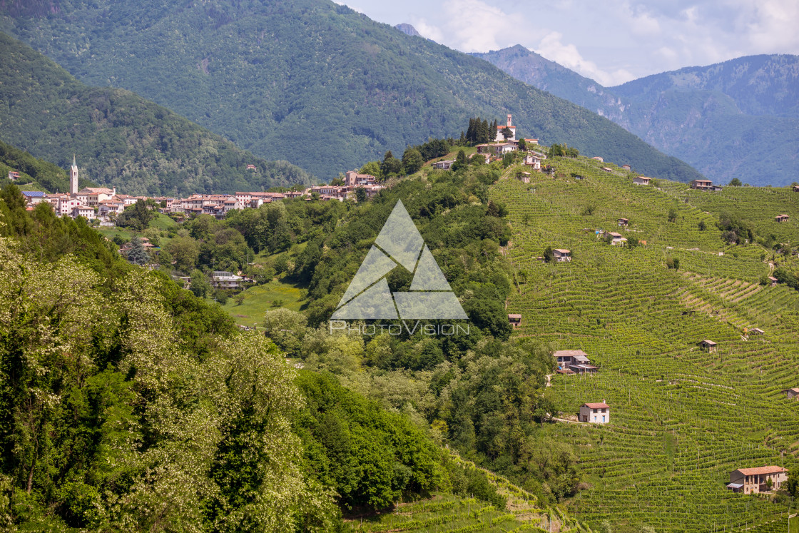 "Prosecco region, view of hills with vineyards, sunny day" stock image