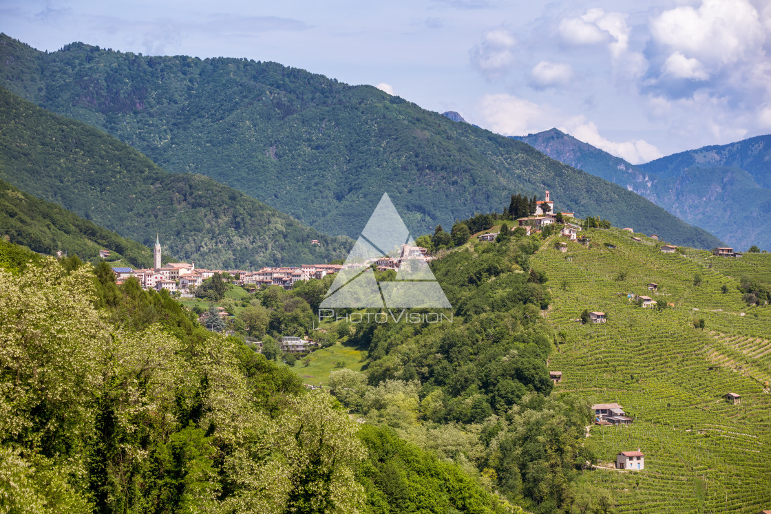 "Prosecco region, view of hills with vineyards, sunny day" stock image