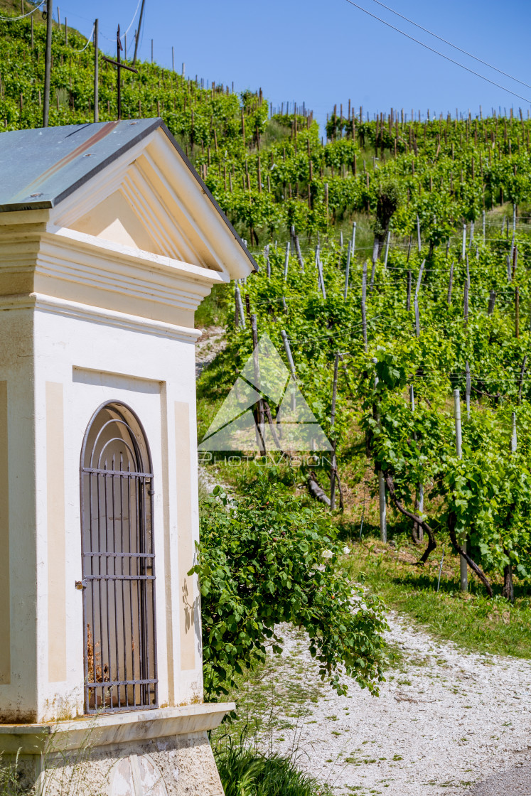 "Prosecco region, view of hills with vineyards, sunny day" stock image