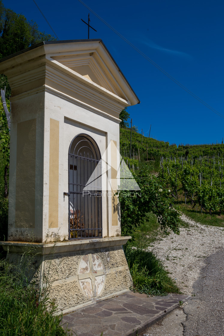 "Prosecco region, view of hills with vineyards, sunny day" stock image