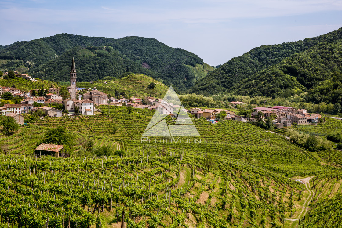 "Prosecco region, view of hills with vineyards, sunny day" stock image