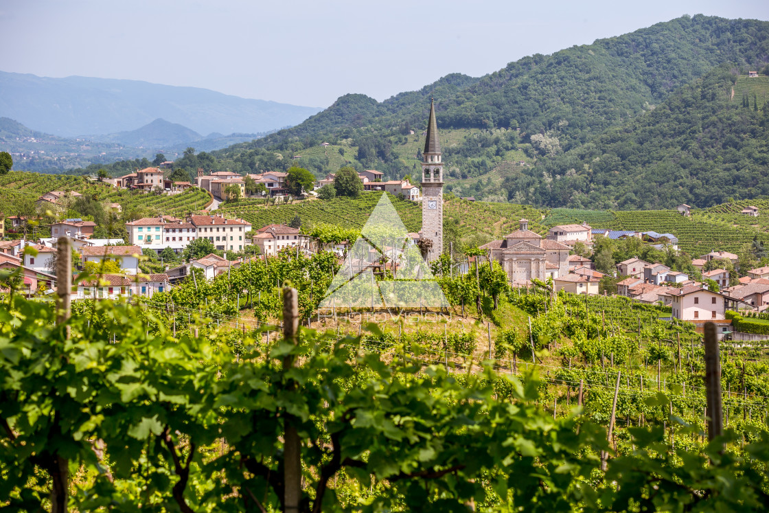 "Prosecco region, view of hills with vineyards, sunny day" stock image