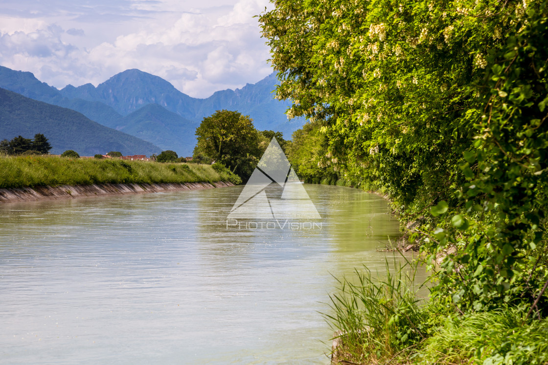 "River canal between vineyards, Prosecco region" stock image