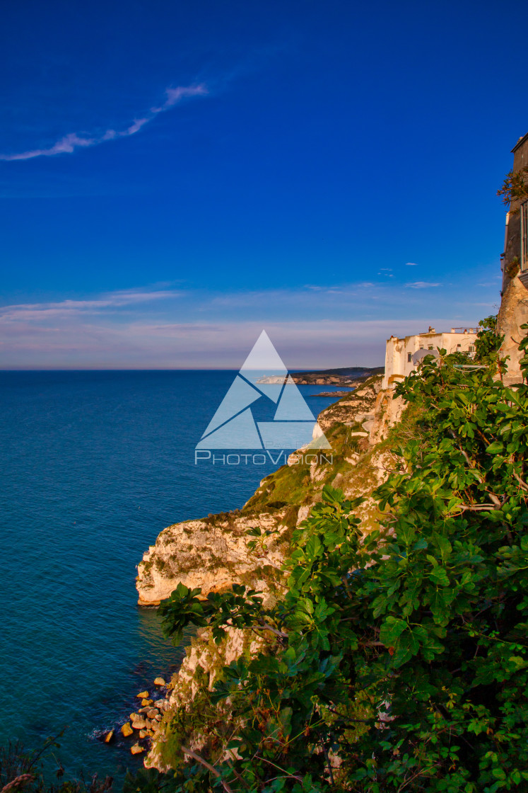 "Rocky coast from above" stock image