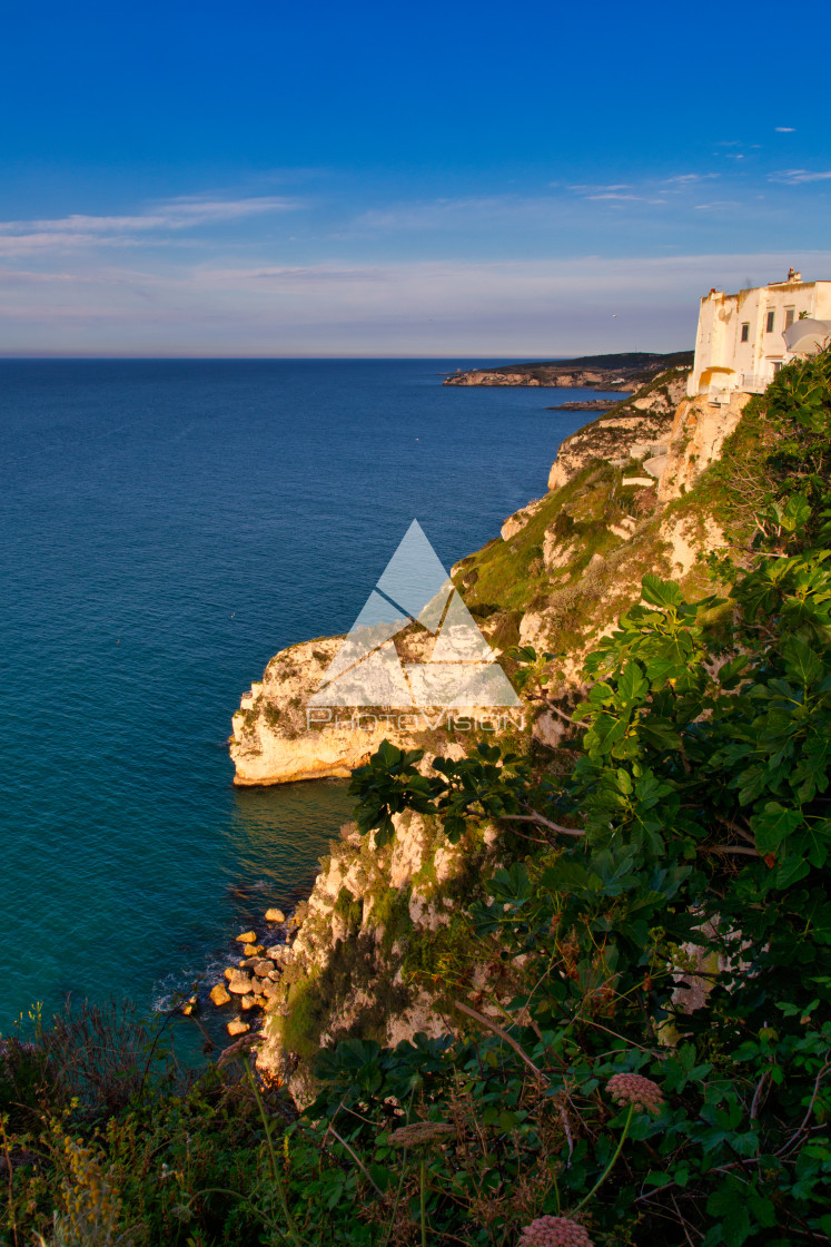 "Rocky coast from above" stock image