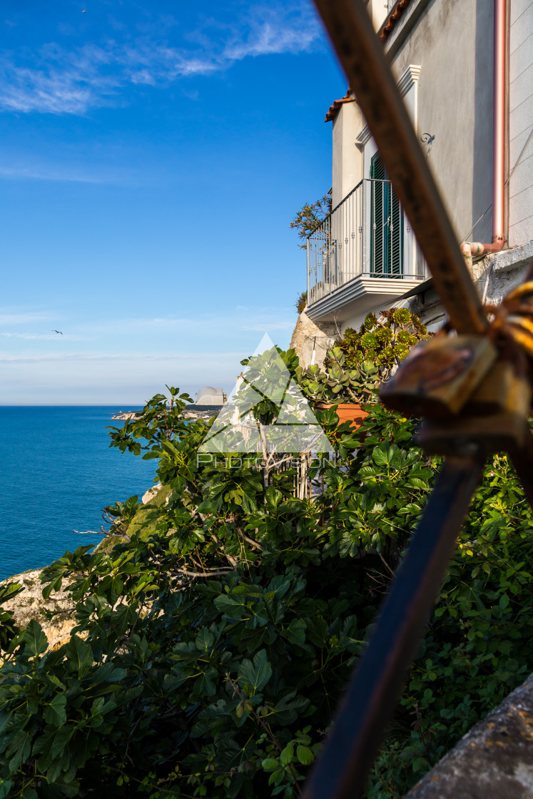 "Locks of love on a rusty fence" stock image