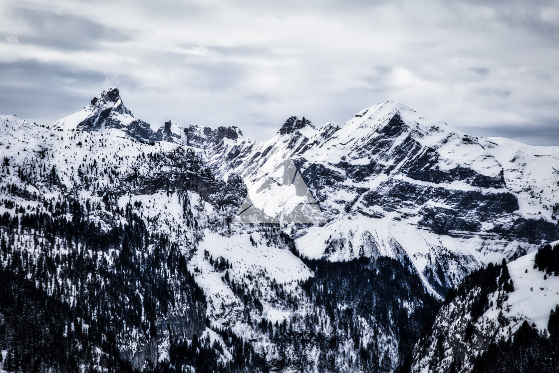 "Panorama of winter snowy Alps" stock image