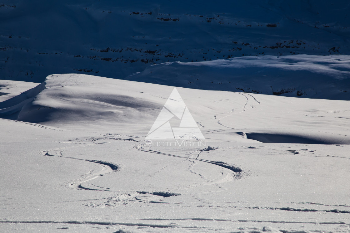 "Painting skiers in powder snow" stock image