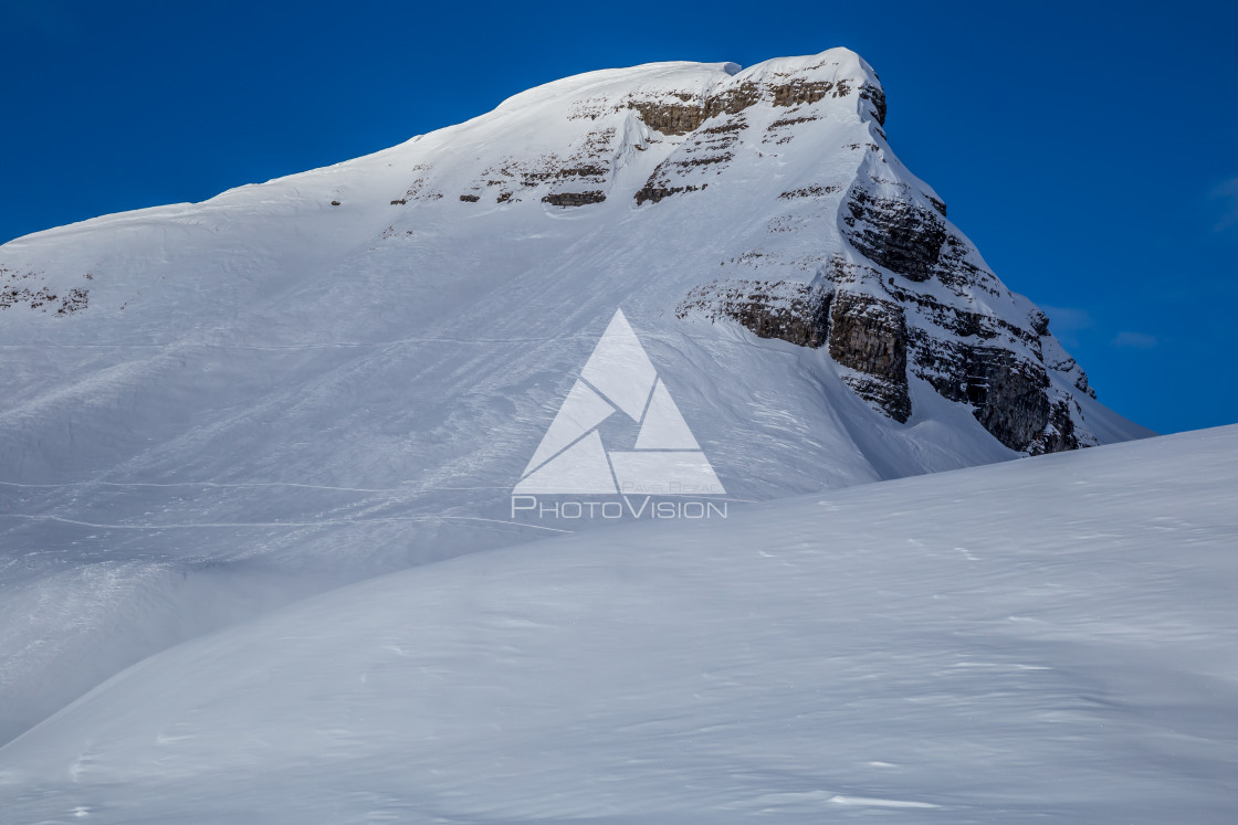 "Painting skiers in powder snow" stock image