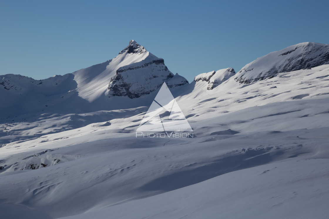 "Panorama of winter snowy Alps" stock image