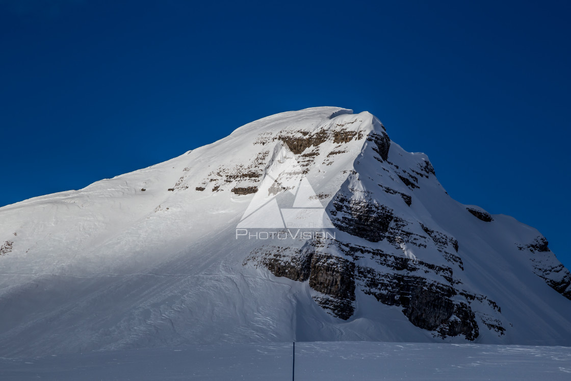 "Painting skiers in powder snow" stock image