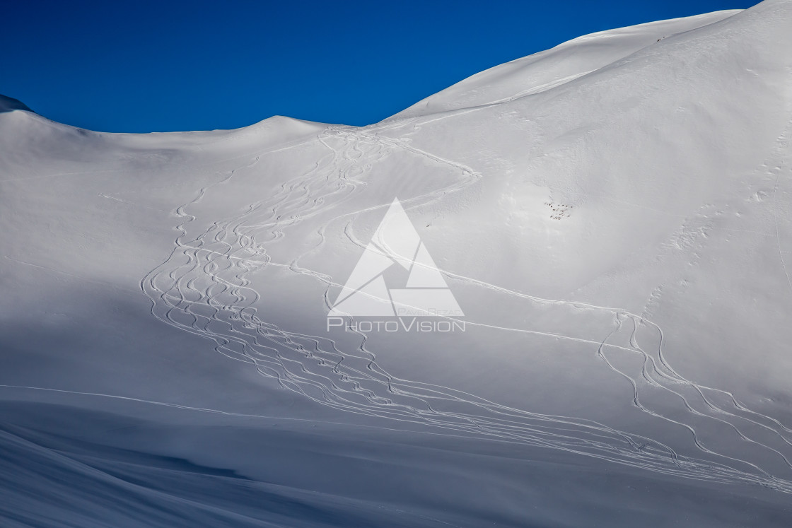 "Painting skiers in powder snow" stock image