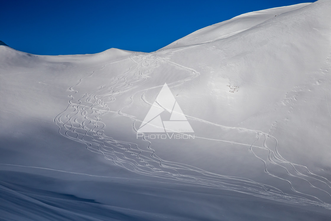 "Painting skiers in powder snow" stock image